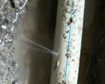 松桃卫生间测漏水多少钱
